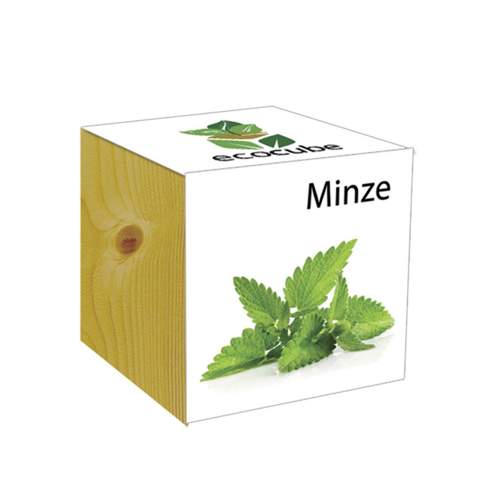 Ecocube wooden cube, mint