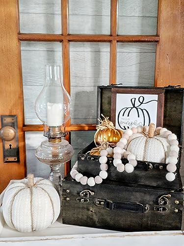 SLPR Decorative Suitcase with Straps