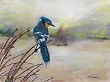 Original/Print of the Watercolor Painting 'Blue Jay' on Quality Artistic Paper. Wall decor. Birds. Office Decor. Gift Idea. ACEO size available.