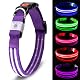 Hunde Leuchthalsband von Melerio mit USB und LED-Funktion