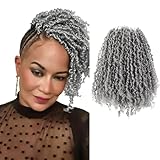 Osuntress 8 inch Yanky Twist Crochet Hair 10 Packs, Pre-looped Short Mini Spring Twists Micro Yankee Passion Braids （200 Strands, Gray)