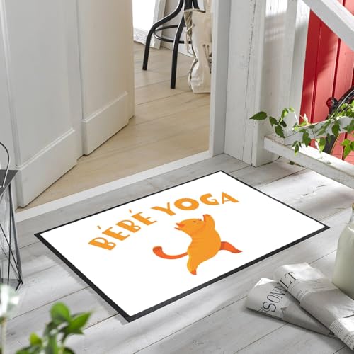 Paillasson chat mignon tapis de sol blanc original pour éviter les traces de pas