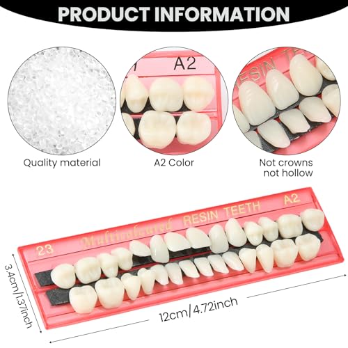 Image of Nuanchu 560 Pcs False Teeth Acrylic Resin, 20 Set A2 Shade Denture Teeth Replacement Kit Solid Synthetic Polymer Fake Tooth for Halloween Horror Props DIY Costume Dental Teaching Model