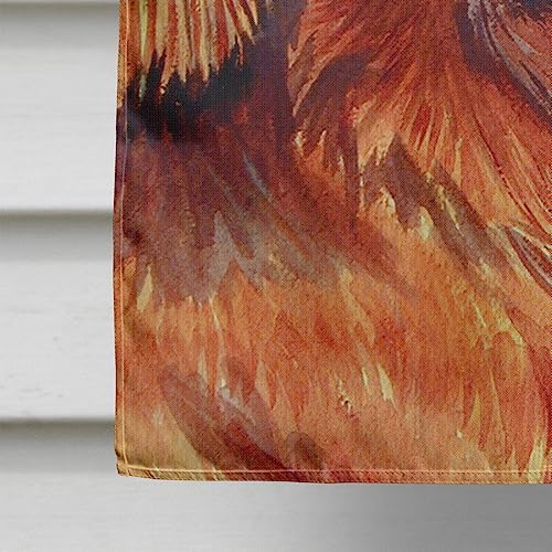 Drapeau Irish Setter cadeau de Noël idéal pour passionné de chien - 6