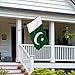 Pakistan Flag 3x5 Feet Polyester Fiber Pakistan Flag in Bright Colors with Brass Grommets for Yards, Gardens, Celebrations, Indoor and Outdoor Decoration
