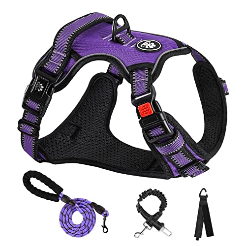 NESTROAD No-Pull Dog Harness & Leash Set (Purple, Small)
