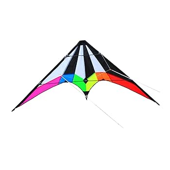 #スカイスポーツ カイト 中国　濰坊　風箏　魚凧　海外商品　风筝 kite 美品 スカイスポーツ カイト 中国 濰坊 風箏 魚凧 海外商品 风筝 kite