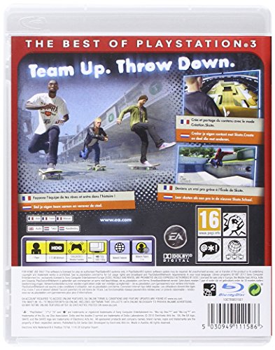 Skate 3 essentials - vue 4