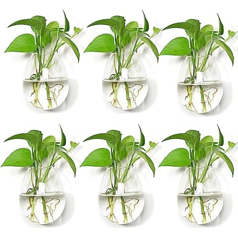 Fashionstorm Glass Wall Hanging Planters Cover