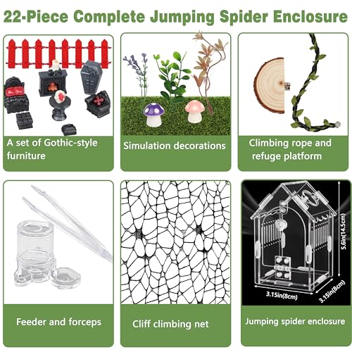 Image of Jumping Spider Enclosure Kit with Accessories | Acrylic terrarium for tarantula mantis reptile. Magnetic lock & feeder. Clear 360 view. DIY decor set.