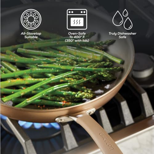 Circulon Premier Professional 12-Piece