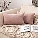 MIULEE 2 Piezas Funda de Cojines Poliéster Elegante Suave y Duradero Funda de Almohada Cómoda para Sofá Cama Decoracion Modernas Preciosas para Sillas Dormitorio Habitacion 30x50cm Rosado