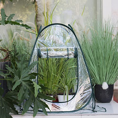 Gardzen 27"x27"x31" Pop up Grow Greenhouse Small Greenhouse, Portable Plant Flowers Mini Green House Cover for Outdoor & Indoor Use - Image 6