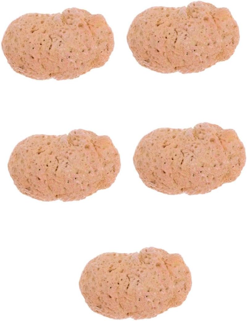 VANZACK 5pcs Outdoor Stone Key Hider Decorative Rock Key Holder for Home and Garden Realistic Fake for Easy Access