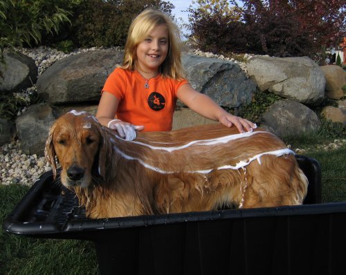 portable dog bath system
