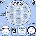 Aviv Judaica Disposable Passover Seder Plate 10.25