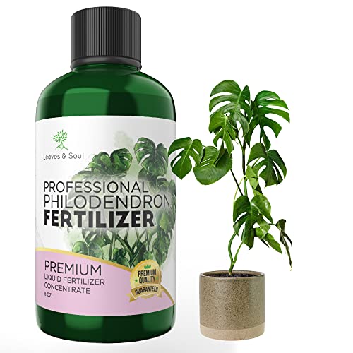 List of Ten Best Fertilizer For Philodendron Top Picks 2023 Reviews