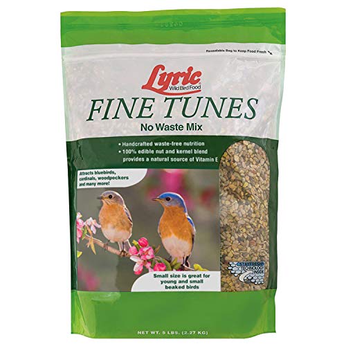Lyric Fine Tunes Wild Bird Seed Mix - No Waste Bird Food Mix - Attracts Bluebirds, Finches, Chickadees & More - Seed for Outside Feeders - 5 lb Bag