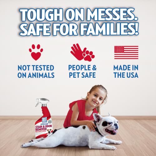Image of OUT! PetCare Pet Stain & Odor Remover, Carpet Cleaner, 32oz (2 Pack) | Dog Stain & Odor Remover, Pet Odor Eliminator, Floor Cleaner, Dogs & Cats, Carpet Cleaner, Cat Stain Remover, Made in USA