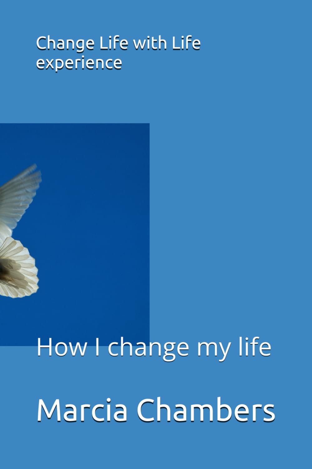 Change Life with Life experience: How I change my life