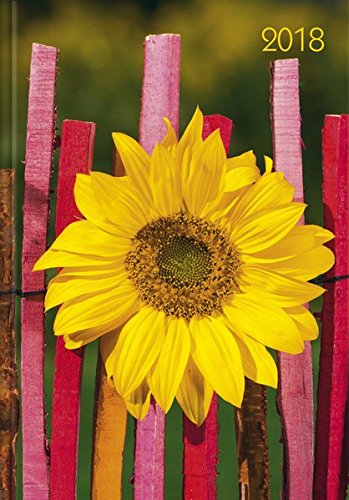 Lady-Timer Sonnenblume 2018 Lady-Timer Sonnenblume 2018