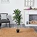 Nearly Natural 48in Dracaena Silk Plant (Real Touch) Green