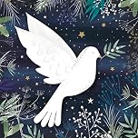 GBCC Charity Christmas Cards Pack of 6 - Charity Christmas Cards with a Dove at Night Design - Eco-Friendly Xmas Cards Multipack with Envelopes