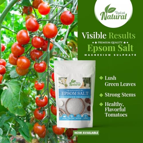 Image of inchOrganic Epsom Salt Crystals for Bath 1kg, For Muscle Relief, Feet Soak, Relieves Aches & Pain, Gardening Plants 1Kg inch