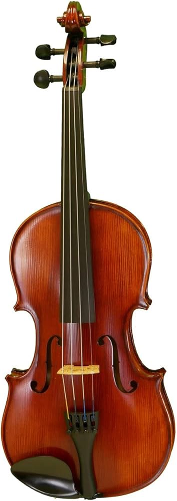 ヴァイオリン　mathias thoma v165DSC_0077-450x700.jpg