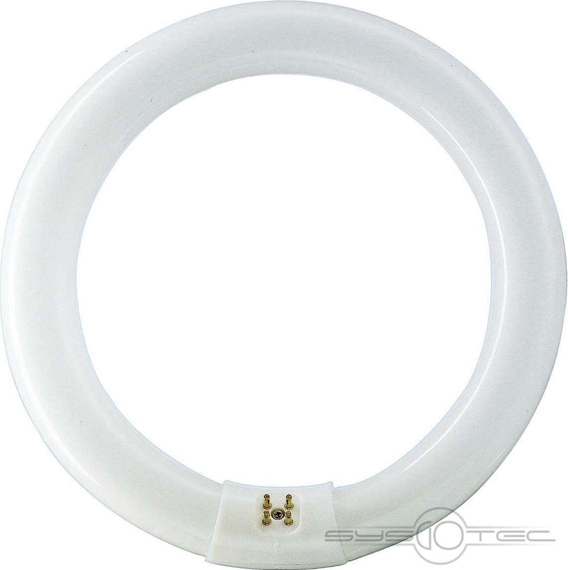 Philips White Phi.lm Leuchtstofflampe 32W Nws Ringförmig Tl-E 32W/840