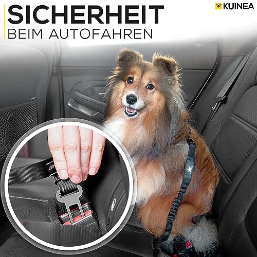 KUINEA® 2X Sicherheitsgurt für Hunde – elastischer Hundegurt mit Rückdämpfung & Verstellbarer Länge – Anschnallgurt fürs Auto, Robustes Hunde Zubehör für alle Rassen & Autotypen