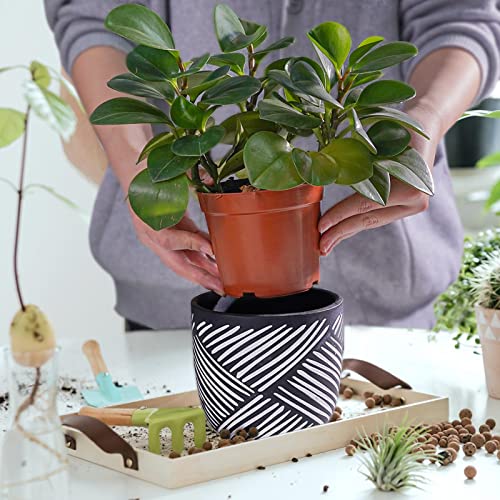 Jofamy 6 Inch Boho Planter Pots With Drainage Holes, 2 Pcs Terracotta Pots, Ceramic Plant Pots For Indoor Plants, Ferns, Vines, Succulents, And Outdoor Plants Growing, Gift For Plant Lovers（Black） #TOP3