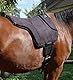 AMKA Wildleder Reitpad Bareback Pad Komfort Gr. Pony