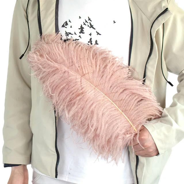 TUITA 10pcs White Large Ostrich Feather 15-55cm for Wedding Party Carnival Decoration Natural Ostrich Feathers Crafts DIY Accessories — image 1