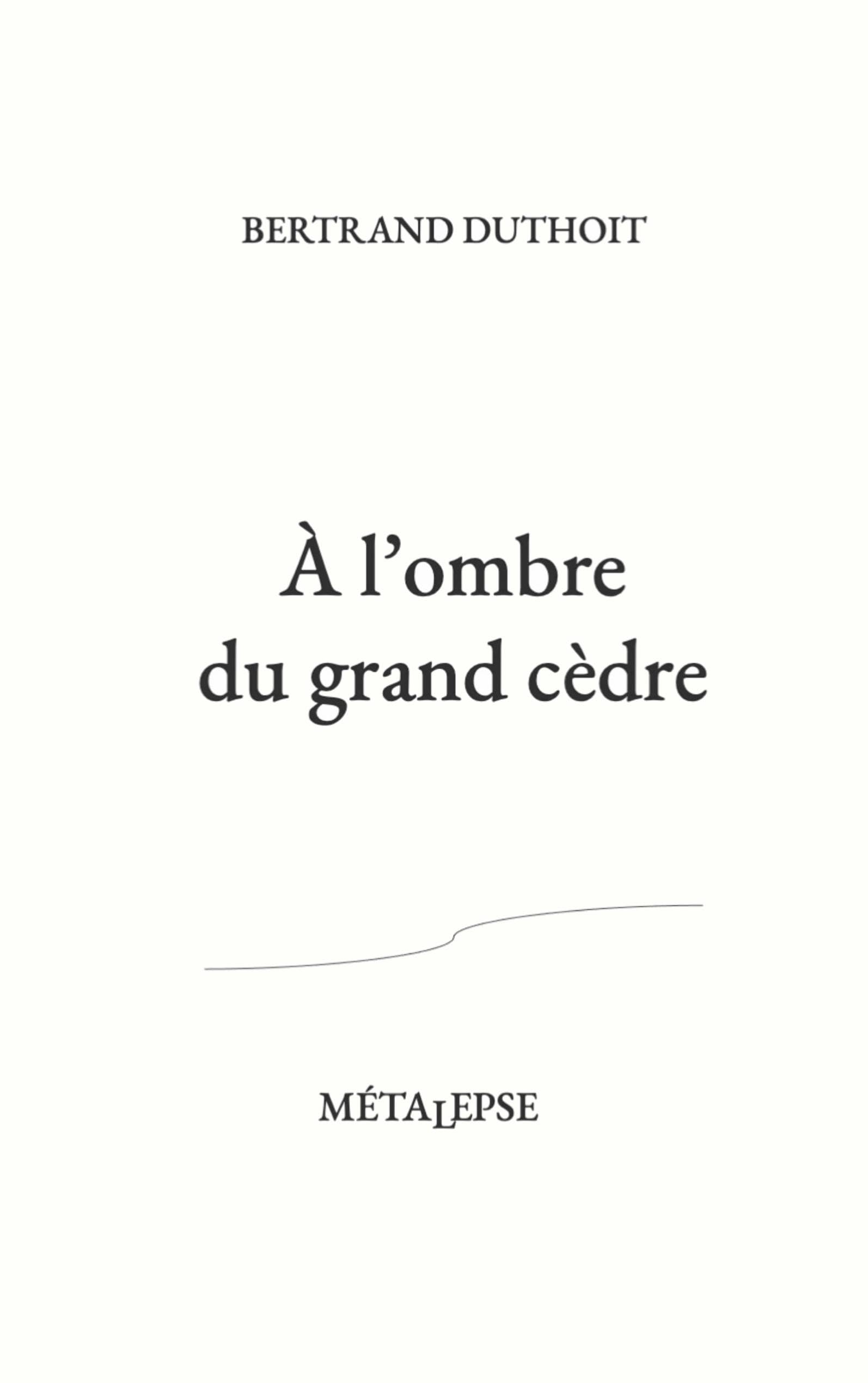 À l'ombre du grand cèdre