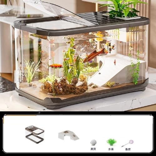 Sariny^Zbg Wt rO[ Ƃ̑ ȐԊwI^N fXNgbṽJ  ȒPa Ϗܐ gщ\ ʋCE ʊϏ CeA (R[q[F,fbNXiGNXg[Wj)