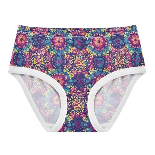 ZZKKO Vintage Purple Floral Girls Underwear Toddler Panties for Girls Comfort Brief Size 2-8T