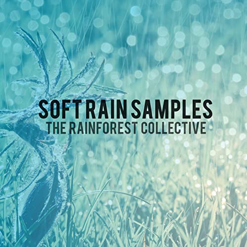 The Rainforest Collective