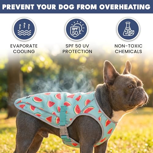 Image of Spark Paws Dog Cooling Vest - SPF 50 UV Sun Protection - Summer Heat Relief Gear for Dogs, Lightweight, Evaporative Cooling - Dog Anxiety Relief Vest During Hot Days - Watermelon - Size XL