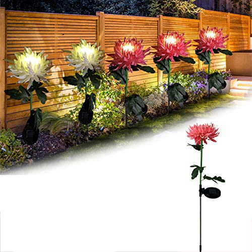 Lampe solaire extérieure de chrysanthème à LED pour piquet de jardin floral