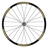 Komplettes Set für 2 Räder und 4 Seiten (komplettes Set für 1 Fahrrad)