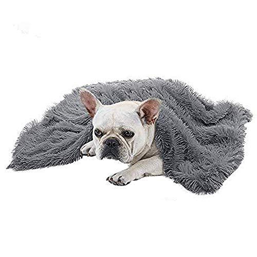 VIAGE Premium Super Soft Fluffy Fleece Dog Blanket, Soft and Warm Pet Throw for Dogs & Cats (Medium (2230