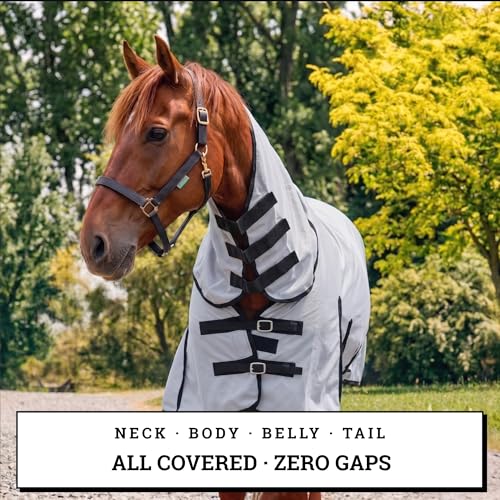 Image of Horse Fly Sheet with Attached Neck Cover & Tail Flap | UV Protection Mesh Horse Blanket, Full Body Bug & Sun Shield, Buckles, Belly Wrap & Gussets for Spring Summer Riding Rug (Silver, 74 inch)