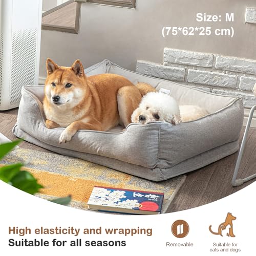 LilyAbeille Hundebett, Katzenbett, Orthopädische Hundebetten Waschbar für Kleine Hunde, Abnehmbar, Flauschig, Bissfest Hundekorb Hundesofa Katzenkorb (60 * 50 * 20 cm, Grün)