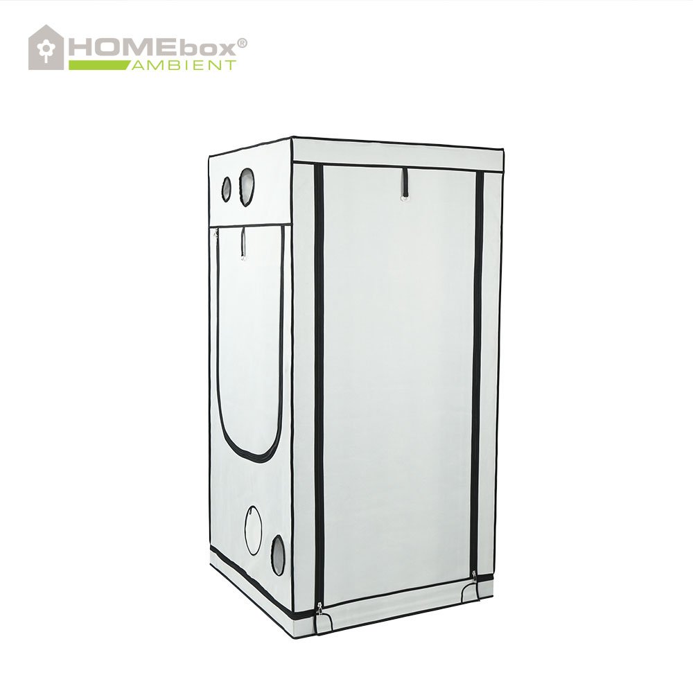 Homebox Ambient Q100