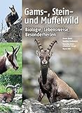  Gams-, Stein- und Muffelwild: Biologie, Lebensweise, Besonderheiten