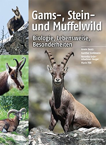 Gams-, Stein- und Muffelwild: Biologie, Lebensweise, Besonderheiten Gams-, Stein- und Muffelwild: Biologie, Lebensweise, Besonderheiten