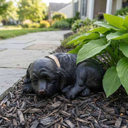 Cache-clés de jardin résistant aux intempéries pour cour et pelouse