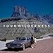 Your Wilderness
