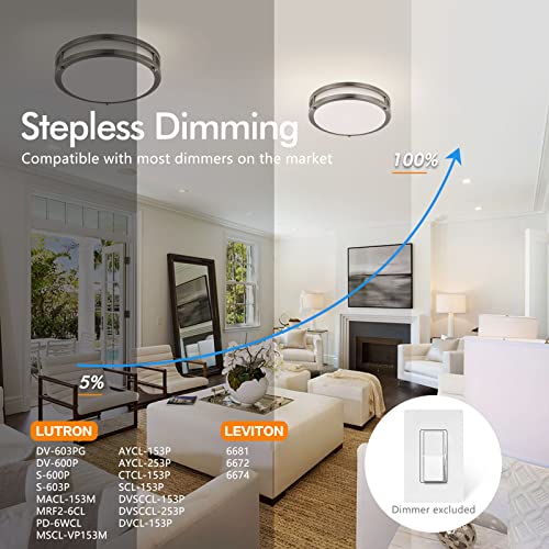 2-Pack 10Inch 30W Flush Mount Led Ceiling Light Fixtures, Ultra Bright 3200Lm Dimmable 5Cct 2700K 3000K 4000K 5000K 6500K Ceiling Lights, Ceiling Lamps For Kitchen Bedroom Bathroom Stairwell, Nickel #TOP2